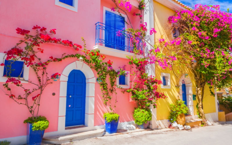 Kwitnąca przyroda na Korfu wiosną